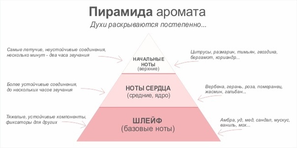Пирамида аромата